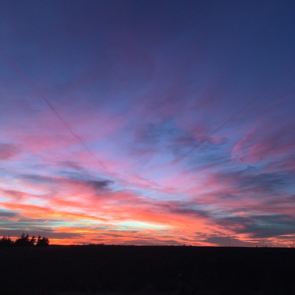 Meet your Posher, Jaelynn